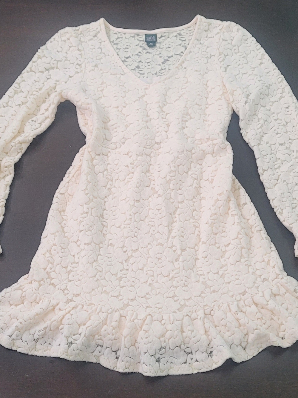 Wild Fable Cream Floral Lace Long-Sleeve Dress